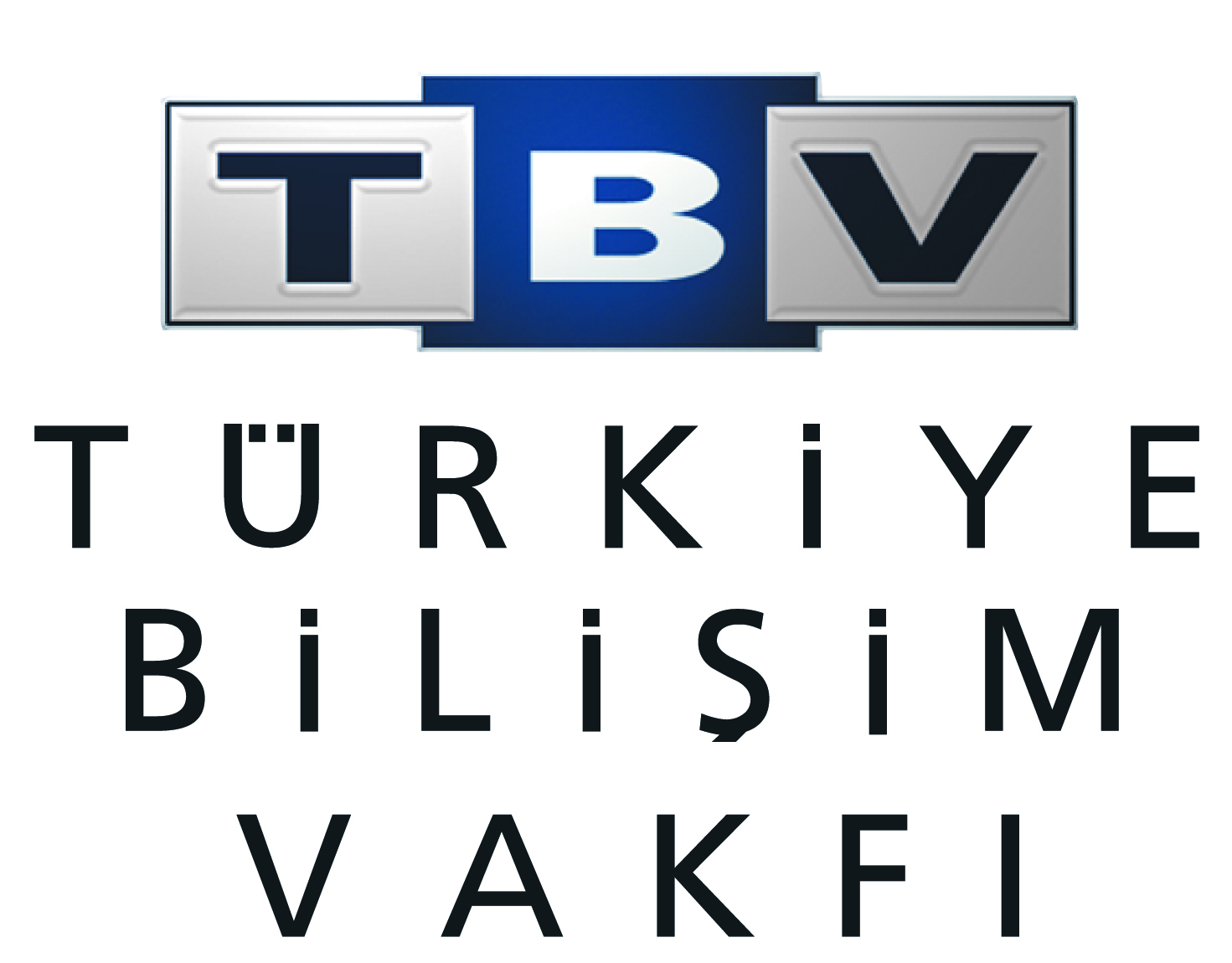 Barış Özistek, Türkiye Bilişim Vakfı Yönetim Kurulunda